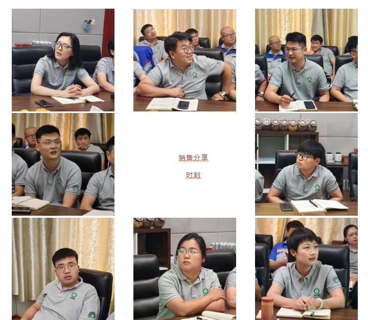 銷售精英們結(jié)合自己特點(diǎn)進(jìn)行工作匯報(bào)。.jpg